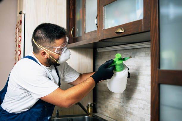 Best Affordable Pest Control Services  in Callahan, FL