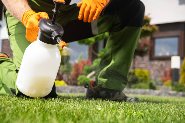Best Mosquito Control Services  in Callahan, FL