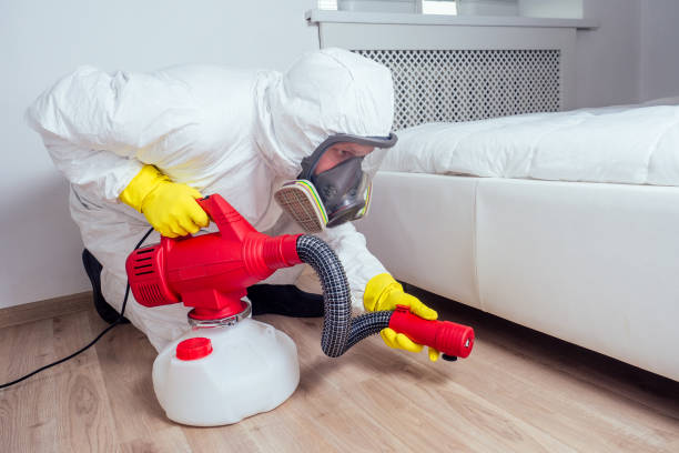 Best Bed Bug Extermination  in Callahan, FL
