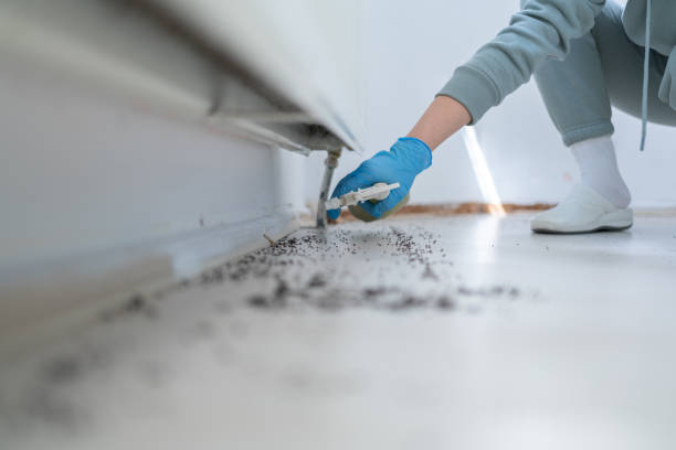 Best Commercial Pest Control Services  in Callahan, FL