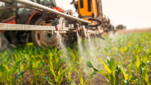 Best Commercial Pest Control Services  in Callahan, FL
